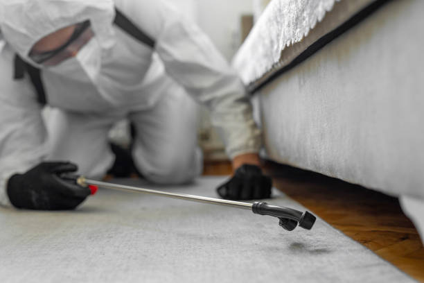 Professional Bed Bug Control technician working in White County County, TN